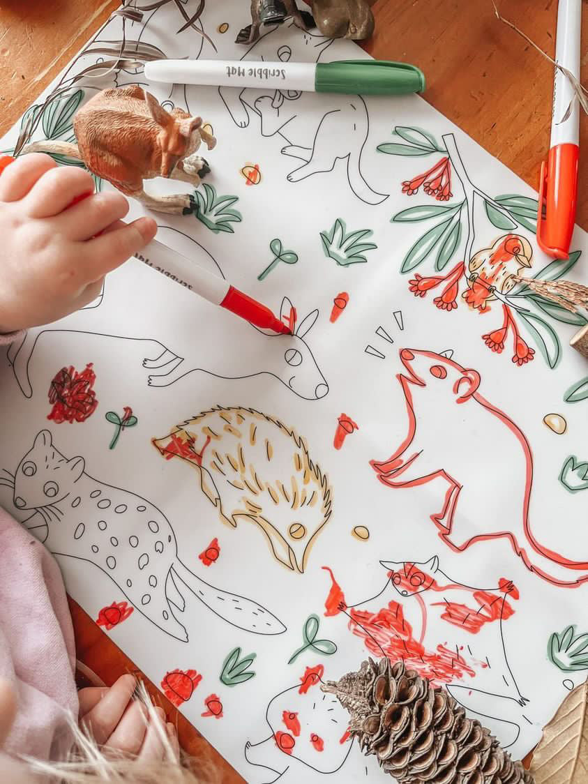 Baby Australian Animals Reusable Scribble Mat