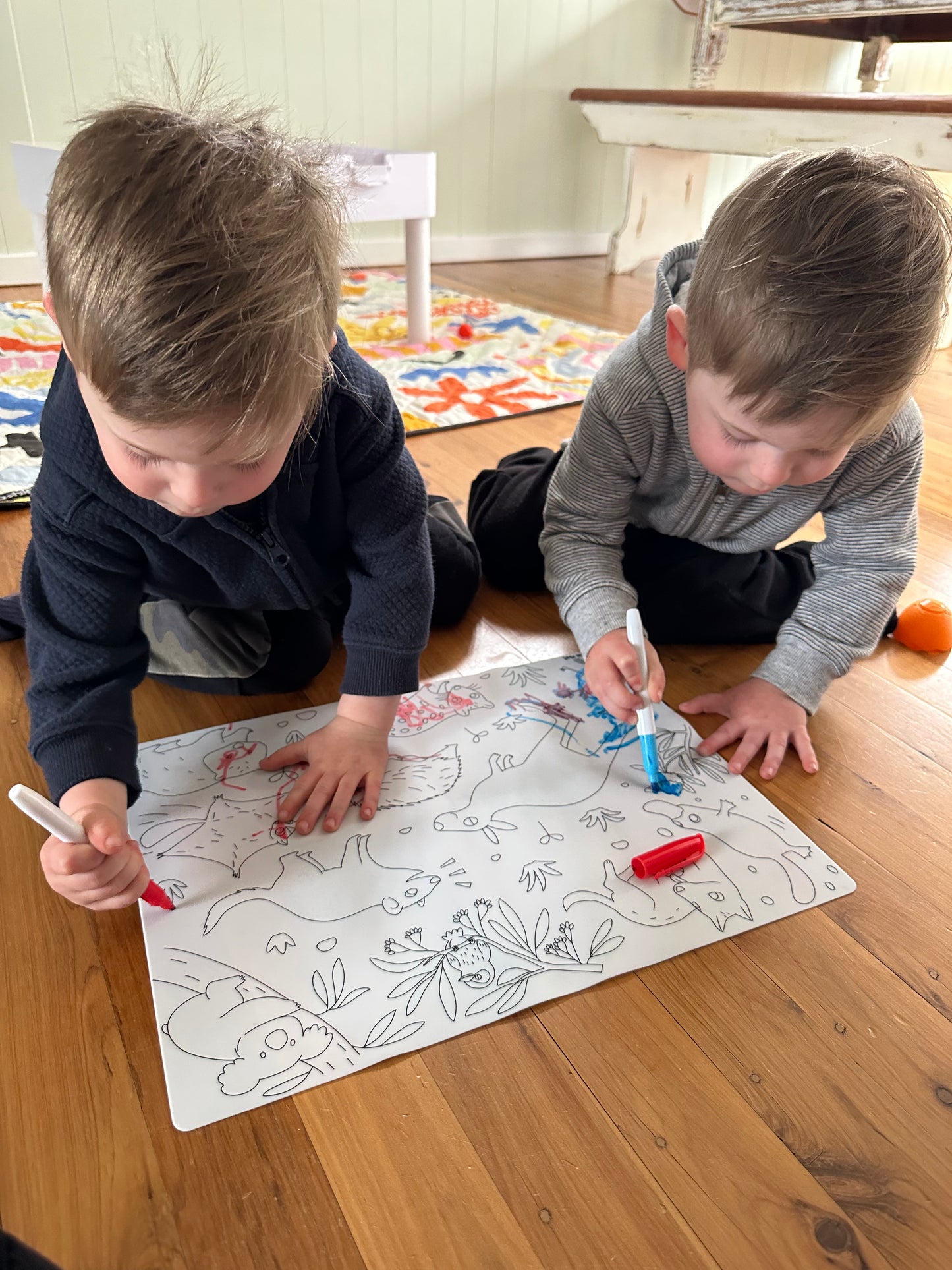 Baby Australian Animals Reusable Scribble Mat