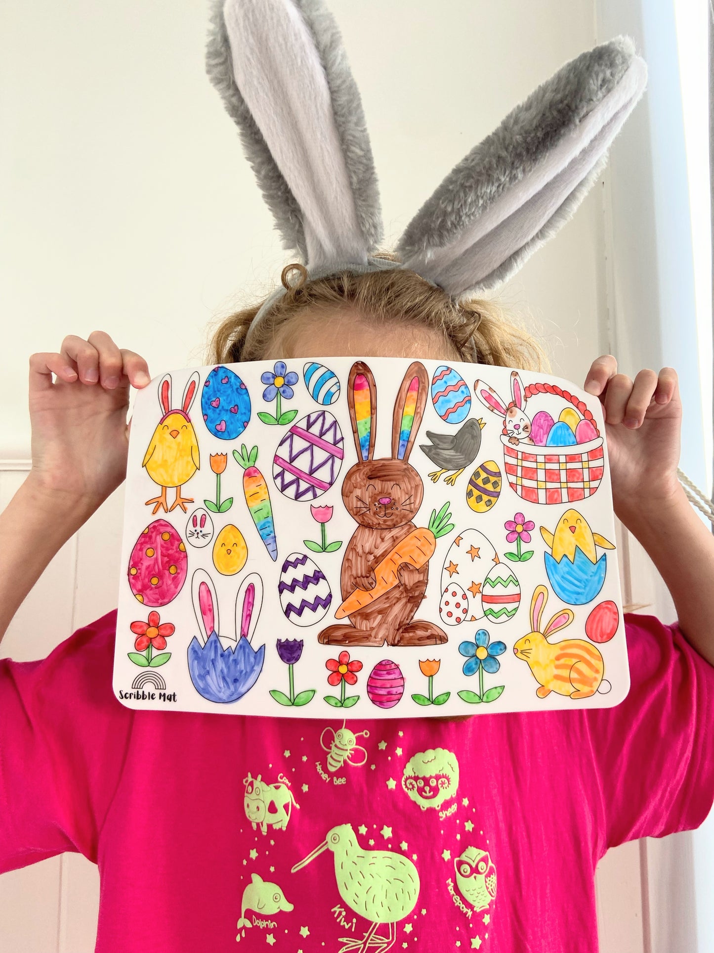 Easter Cracker Reusable Scribble Mat