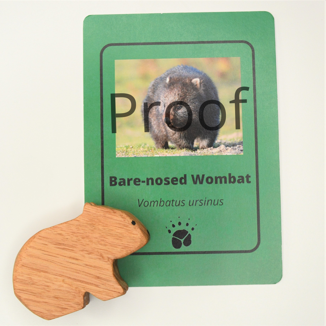 Wombat Wooden Toy