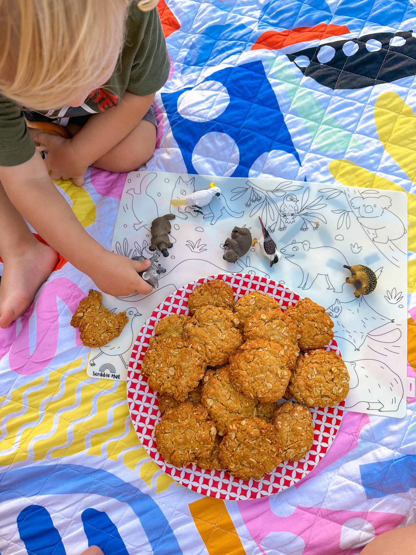 Baby Australian Animals Reusable Scribble Mat
