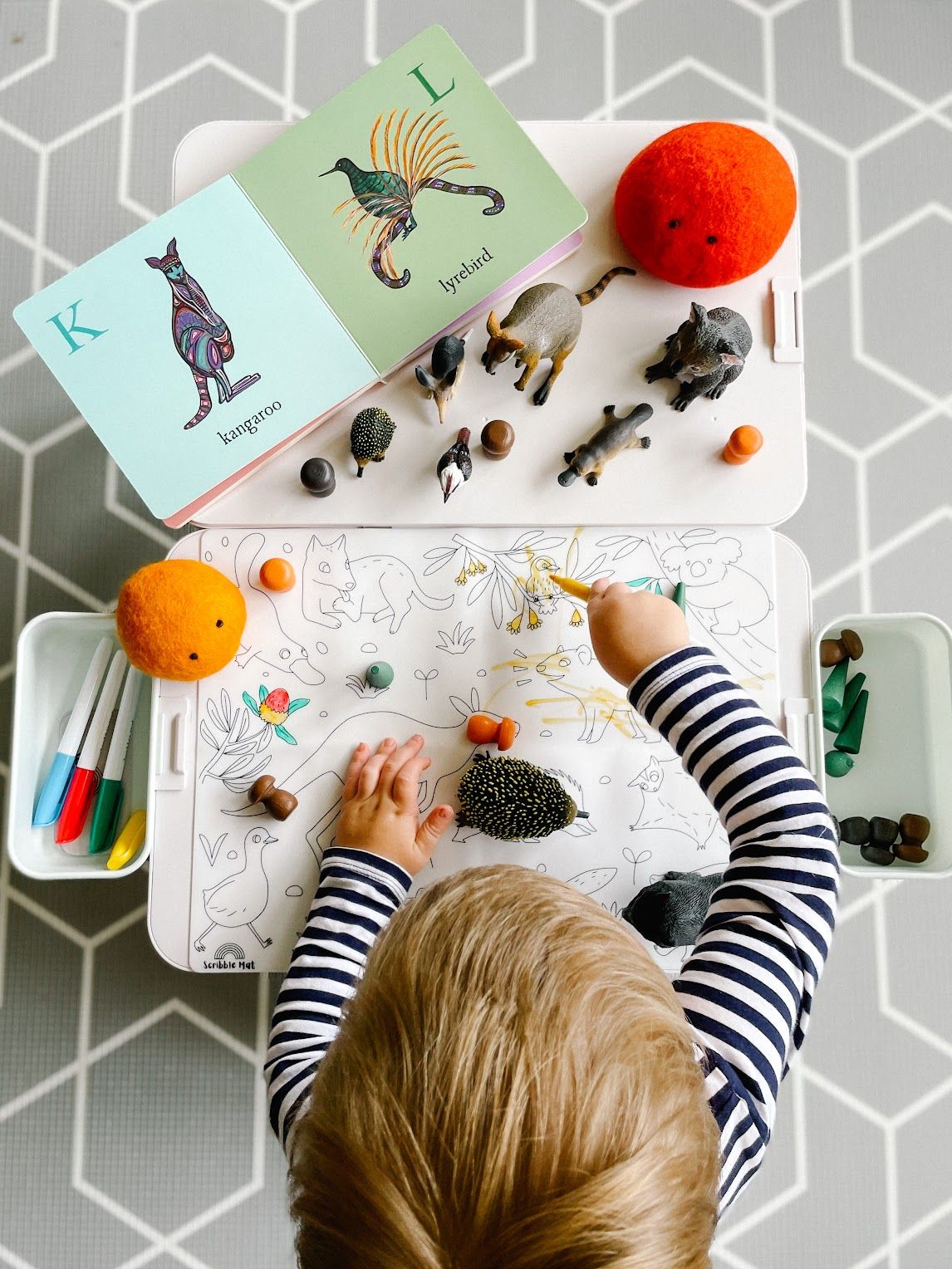 Baby Australian Animals Reusable Scribble Mat