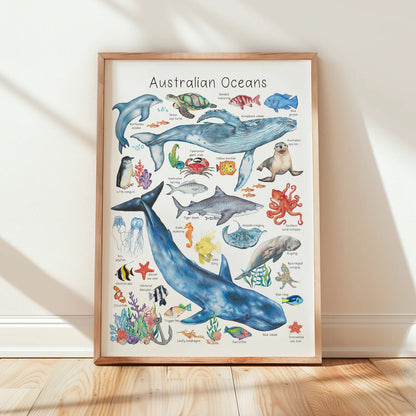 Australian Animal A3 Prints