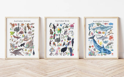 Australian Animal A3 Prints