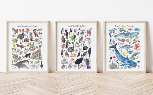 Australian Animal A3 Prints