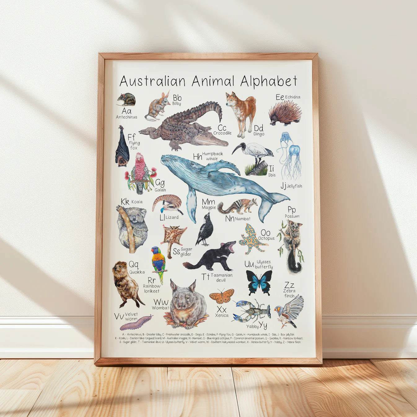 Australian Animal A3 Prints