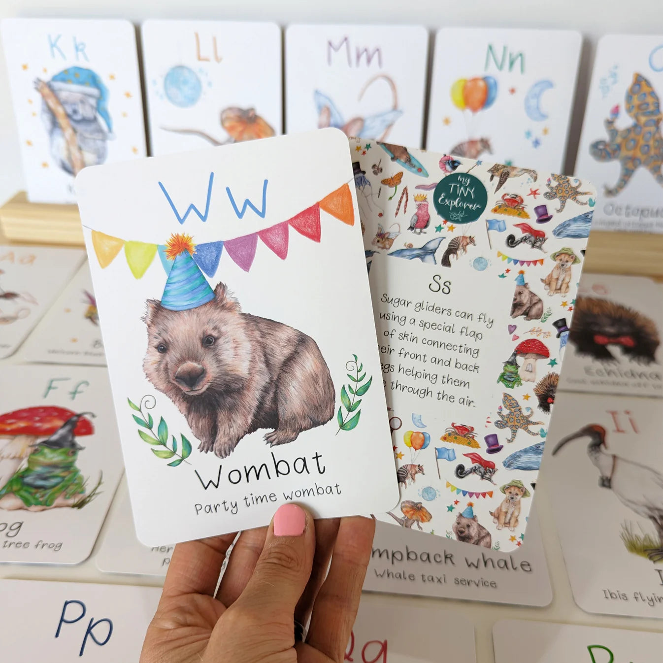 Australian Animal Alphabet Flash Cards
